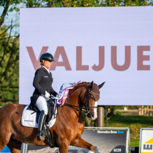 CDI Troisdorf 2023 - autumn