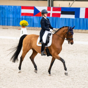 CDI Wroclaw 2023 - autumn