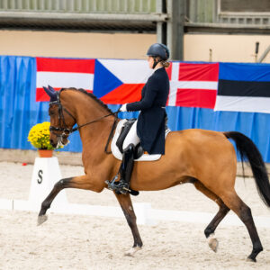 CDI Wroclaw 2023 - autumn