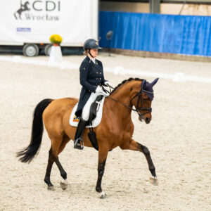 CDI Wroclaw 2023 - autumn