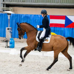 CDI Wroclaw 2023 - autumn
