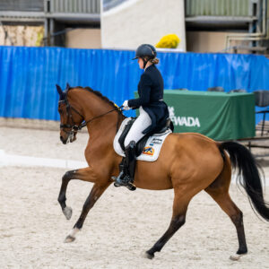 CDI Wroclaw 2023 - autumn