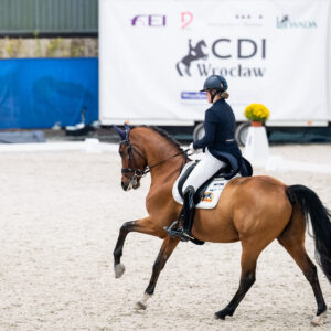 CDI Wroclaw 2023 - autumn