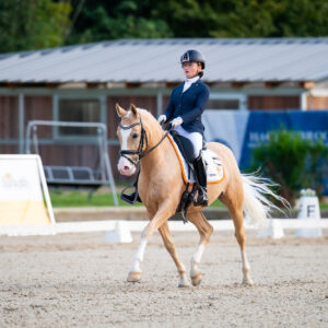 CDI Troisdorf 2023 - autumn