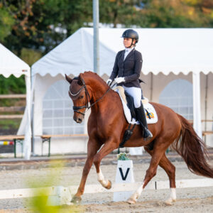 CDI Troisdorf 2023 - autumn