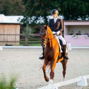 CDI Troisdorf 2023 - autumn