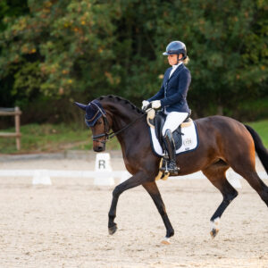 CDI Troisdorf 2023 - autumn