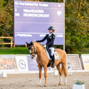 CDI Troisdorf 2023 - autumn