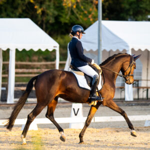 CDI Troisdorf 2023 - autumn