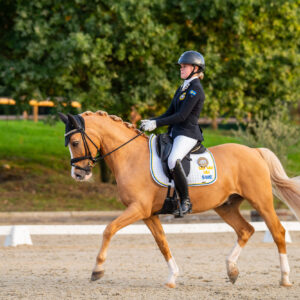 CDI Troisdorf 2023 - autumn