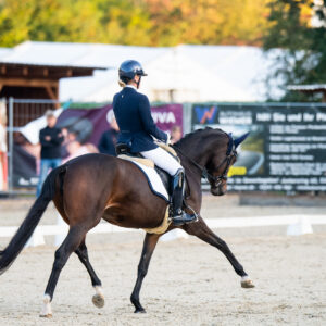 CDI Troisdorf 2023 - autumn