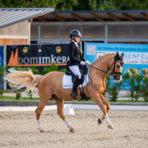CDI Troisdorf 2023 - autumn