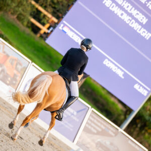 CDI Troisdorf 2023 - autumn