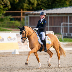 CDI Troisdorf 2023 - autumn