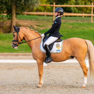 CDI Troisdorf 2023 - autumn