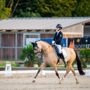 CDI Troisdorf 2023 - autumn