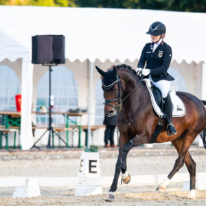 CDI Troisdorf 2023 - autumn