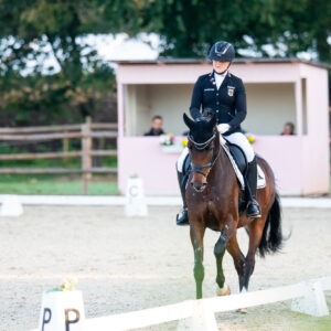 CDI Troisdorf 2023 - autumn