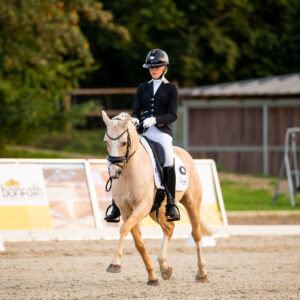 CDI Troisdorf 2023 - autumn