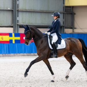 CDI Wroclaw 2023 - autumn