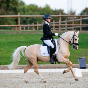 CDI Troisdorf 2023 - autumn