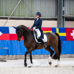CDI Wroclaw 2023 - autumn