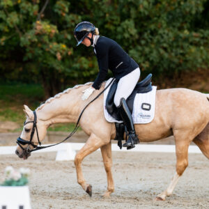 CDI Troisdorf 2023 - autumn