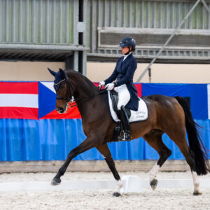 CDI Wroclaw 2023 - autumn
