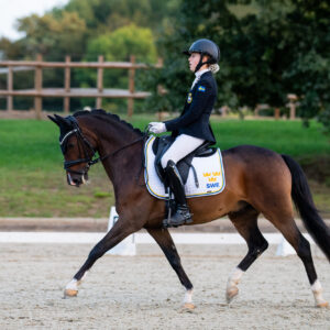 CDI Troisdorf 2023 - autumn