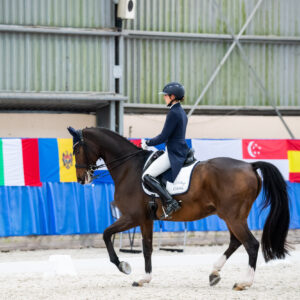 CDI Wroclaw 2023 - autumn
