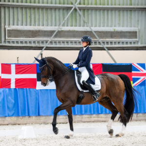 CDI Wroclaw 2023 - autumn