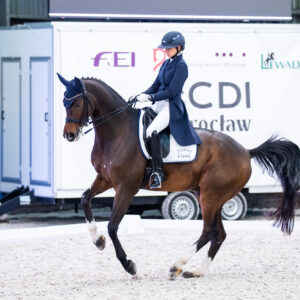 CDI Wroclaw 2023 - autumn