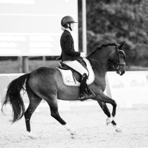 CDI Troisdorf 2023 - autumn