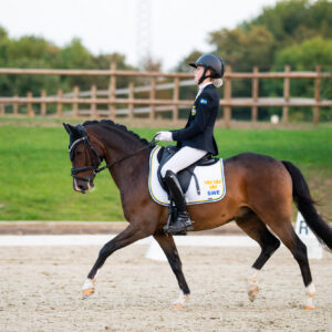 CDI Troisdorf 2023 - autumn