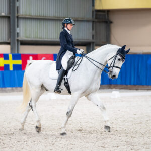 CDI Wroclaw 2023 - autumn