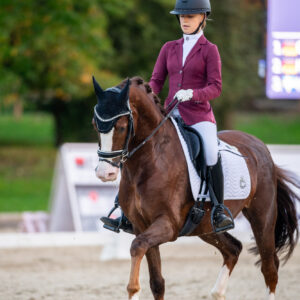 CDI Troisdorf 2023 - autumn