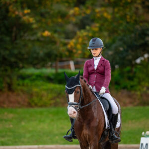 CDI Troisdorf 2023 - autumn