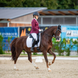CDI Troisdorf 2023 - autumn