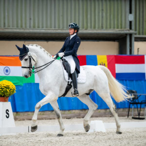 CDI Wroclaw 2023 - autumn