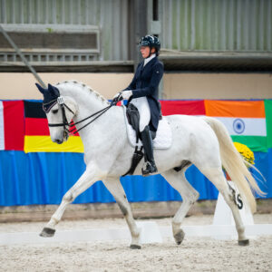 CDI Wroclaw 2023 - autumn