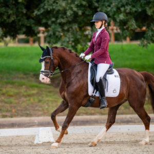 CDI Troisdorf 2023 - autumn