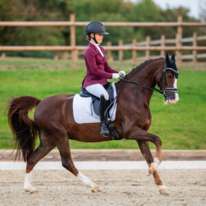 CDI Troisdorf 2023 - autumn