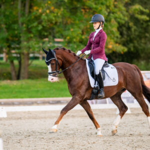 CDI Troisdorf 2023 - autumn