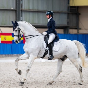 CDI Wroclaw 2023 - autumn