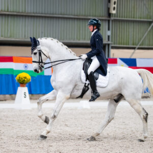 CDI Wroclaw 2023 - autumn