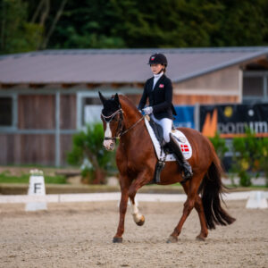 CDI Troisdorf 2023 - autumn