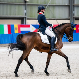 CDI Wroclaw 2023 - autumn