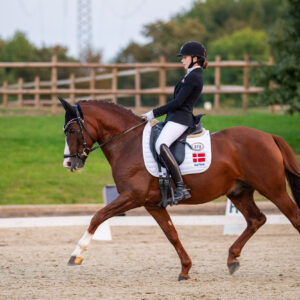 CDI Troisdorf 2023 - autumn