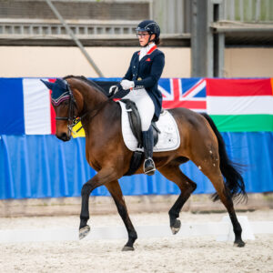 CDI Wroclaw 2023 - autumn