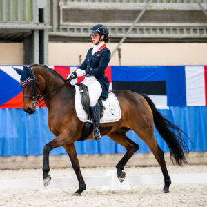 CDI Wroclaw 2023 - autumn